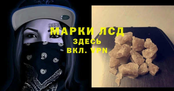 прущие крисы Бородино