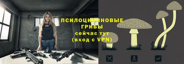 эйфоретик Верхний Тагил