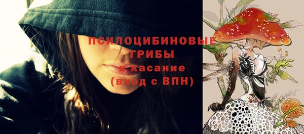 a pvp Верея