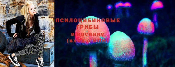 эйфоретик Верхний Тагил