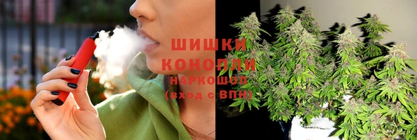 прущие крисы Бородино